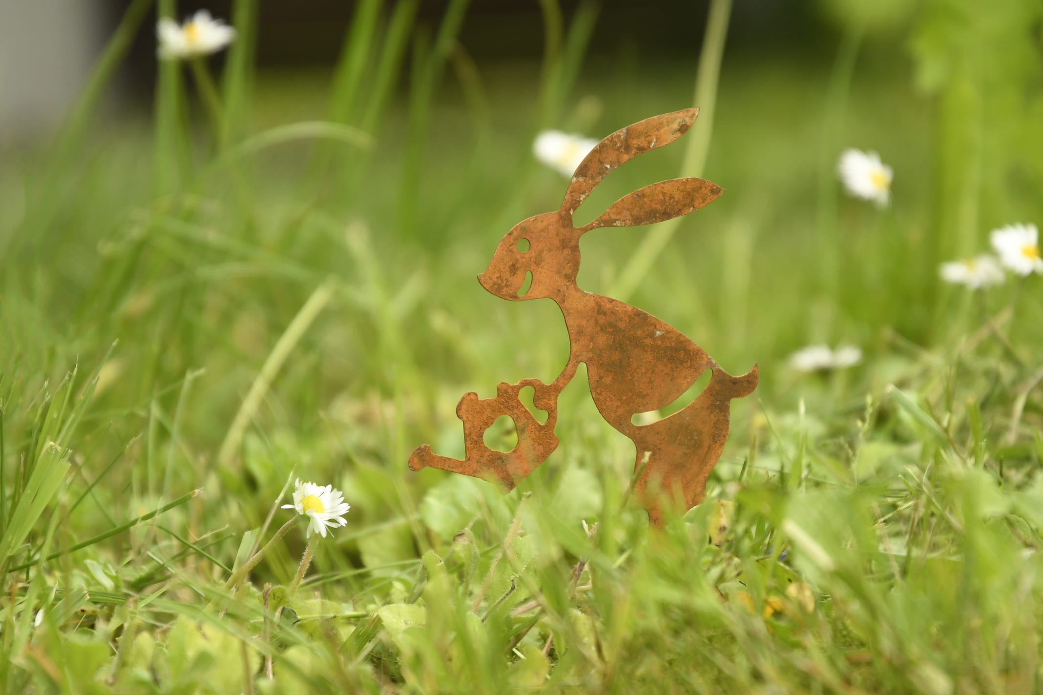 Hase mit Gieсkanne-2