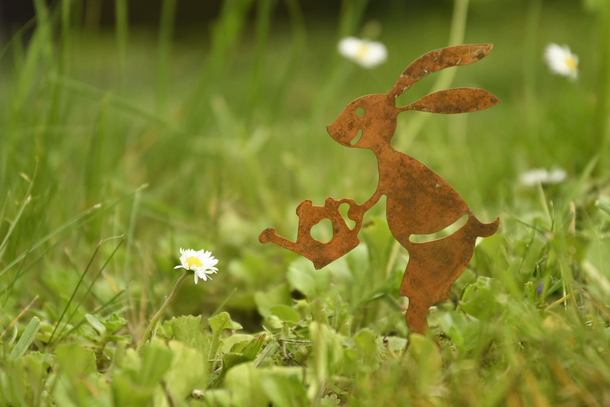 Hase mit Gieсkanne-3